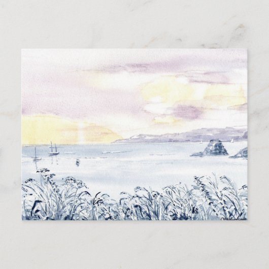 『南西』はがき ポストカード (正面)