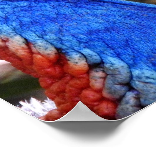 南部のカサスウォリー ポスター (角)