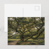 南部ライフツリー | 常緑樹の芸術 | ポストカード (正面/裏面)