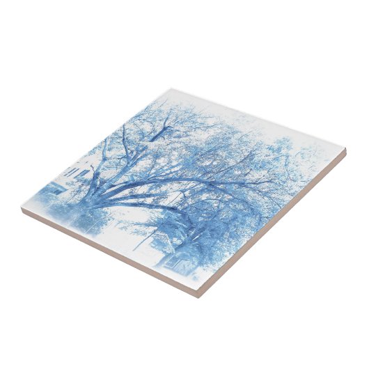 南青いカシToile タイル (側面)