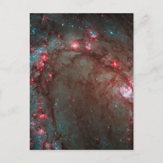 南風車 ポストカード (正面)