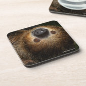 南2つま先で触られた怠惰 コースター (左側)