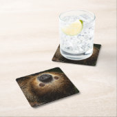 南2つま先で触られた怠惰 スクエアペーパーコースター (インサイチュ)