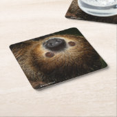 南2つま先で触られた怠惰 スクエアペーパーコースター (アングル)