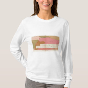 南Comstockの豊庫の横のセクション Tシャツ