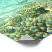 南Huvadhoo Atoll，南モルディブ，インディアン ポスター (角)