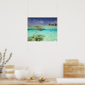 南Huvadhoo Atoll，南モルディブ，インディアン ポスター (キッチン)