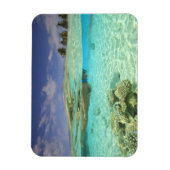 南Huvadhoo Atoll,南モルディブ,インディアン マグネット (縦)