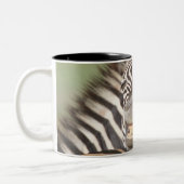 南Talaの私用予備、出生Kwazulu ツートーンマグカップ (左)