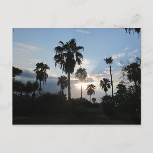 南TXの郵便はがき ポストカード (正面)