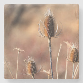 単なるアザミ ストーンコースター