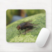 単なるイメ熱狂するージ マウスパッド (マウス)