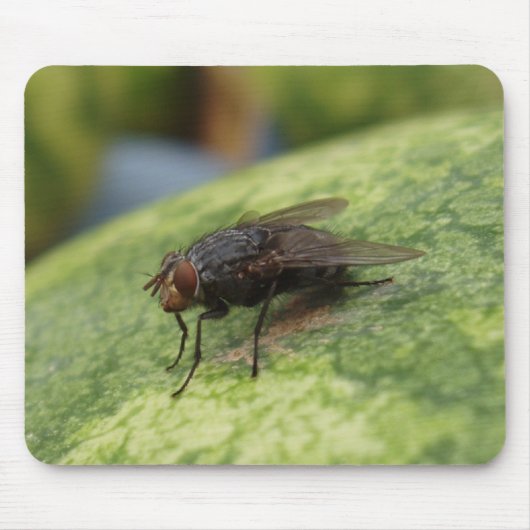 単なるイメ熱狂するージ マウスパッド (正面)