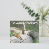 単なる完璧なメルカート ポストカード (スタンド正面)