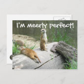 単なる完璧なメルカート ポストカード (正面/裏面)