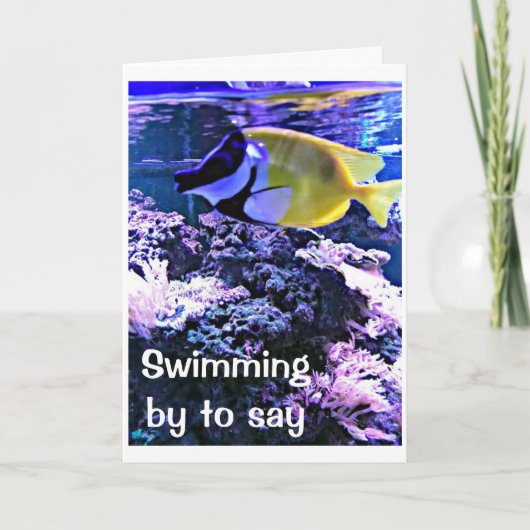 単なる「あなた」のために*誕生日のジョークで泳ぐ カード (正面)