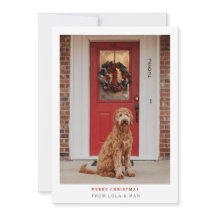 単にモダン聖降誕祭 | ドッグフォトカード