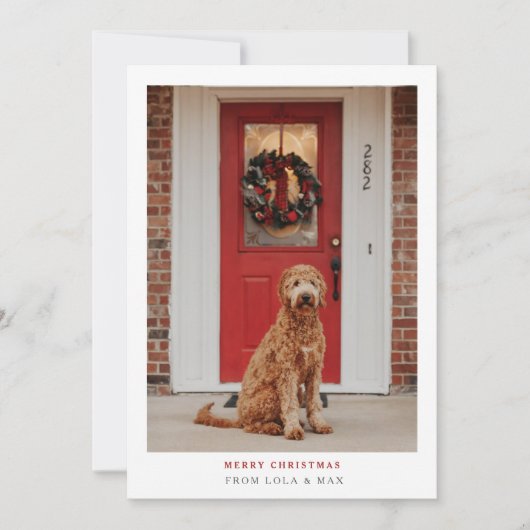 単にモダン聖降誕祭 | ドッグフォトカード サンキューカード (正面)