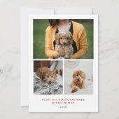 単にモダン聖降誕祭 | ドッグフォトカード サンキューカード (裏面)