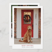 単にモダン聖降誕祭 | ドッグフォトカード サンキューカード (正面/裏面)