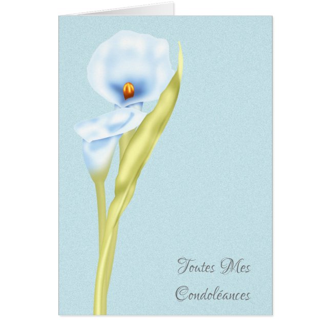 単に示されるToutes Mes Condoleancesのフランス語 (正面)