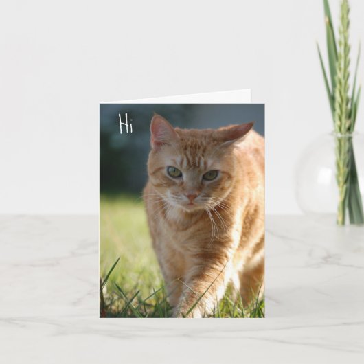 単に～だから カード (正面)