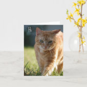 単に～だから カード (黄色い花)