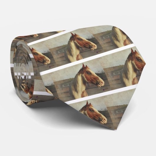 単にSinatra ネクタイ (ロール)