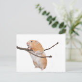 単ぶら下がったのまわりに ポストカード (スタンド正面)