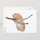 単ぶら下がったのまわりに ポストカード (正面/裏面)