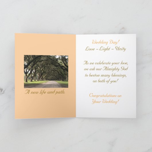 単エレガントに、滝の景色結婚のカード カード (内部)