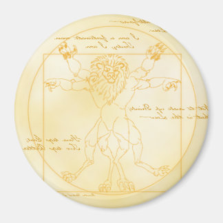 単形性DAヴィンチ磁石 マグネット