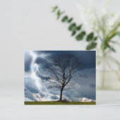 単樹と稲妻 ポストカード (スタンド正面)