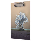 単樹 クリップボード (左)