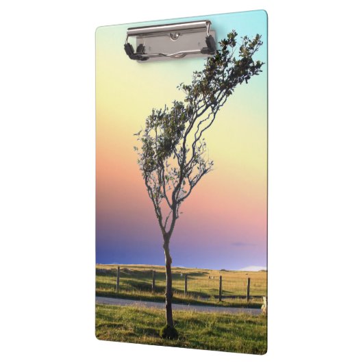 単樹 クリップボード (左)