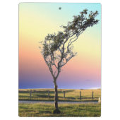 単樹 クリップボード (裏面)