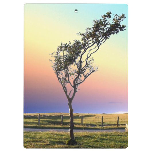 単樹 クリップボード (裏面)