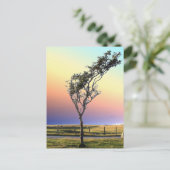 単樹 ポストカード (スタンド正面)