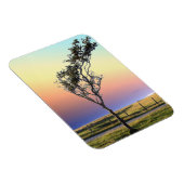 単樹 マグネット (右側)