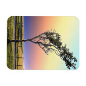 単樹 マグネット (横)