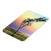 単樹 マグネット (左側)