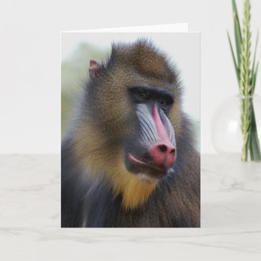 単独で人 カード (正面)