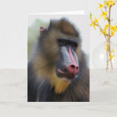 単独で人 カード (黄色い花)