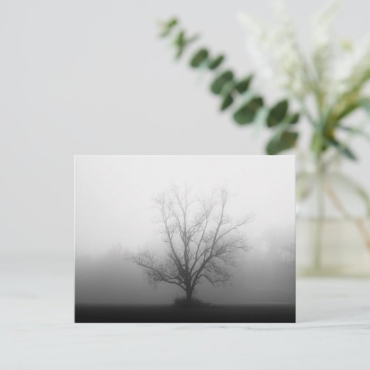 単独で ポストカード (スタンド正面)