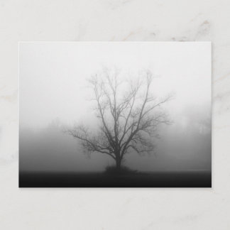 単独で ポストカード