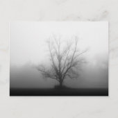 単独で ポストカード (正面)