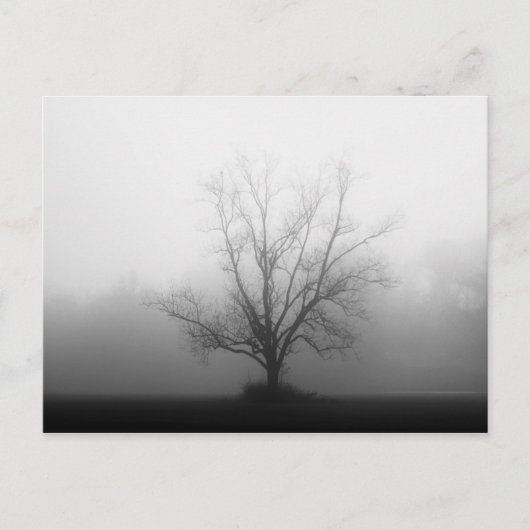 単独で ポストカード (正面)