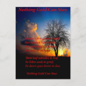 単独のツリー ポストカード (正面)