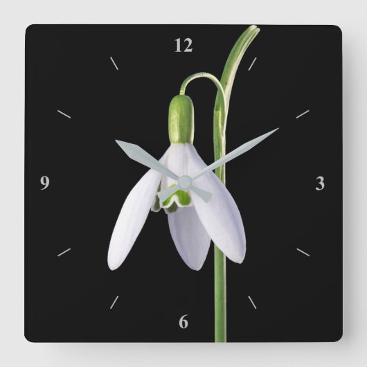 単独の完成 スクエア壁時計 (正面)