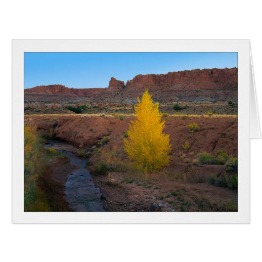 "単独コットンウッド" (正面横)